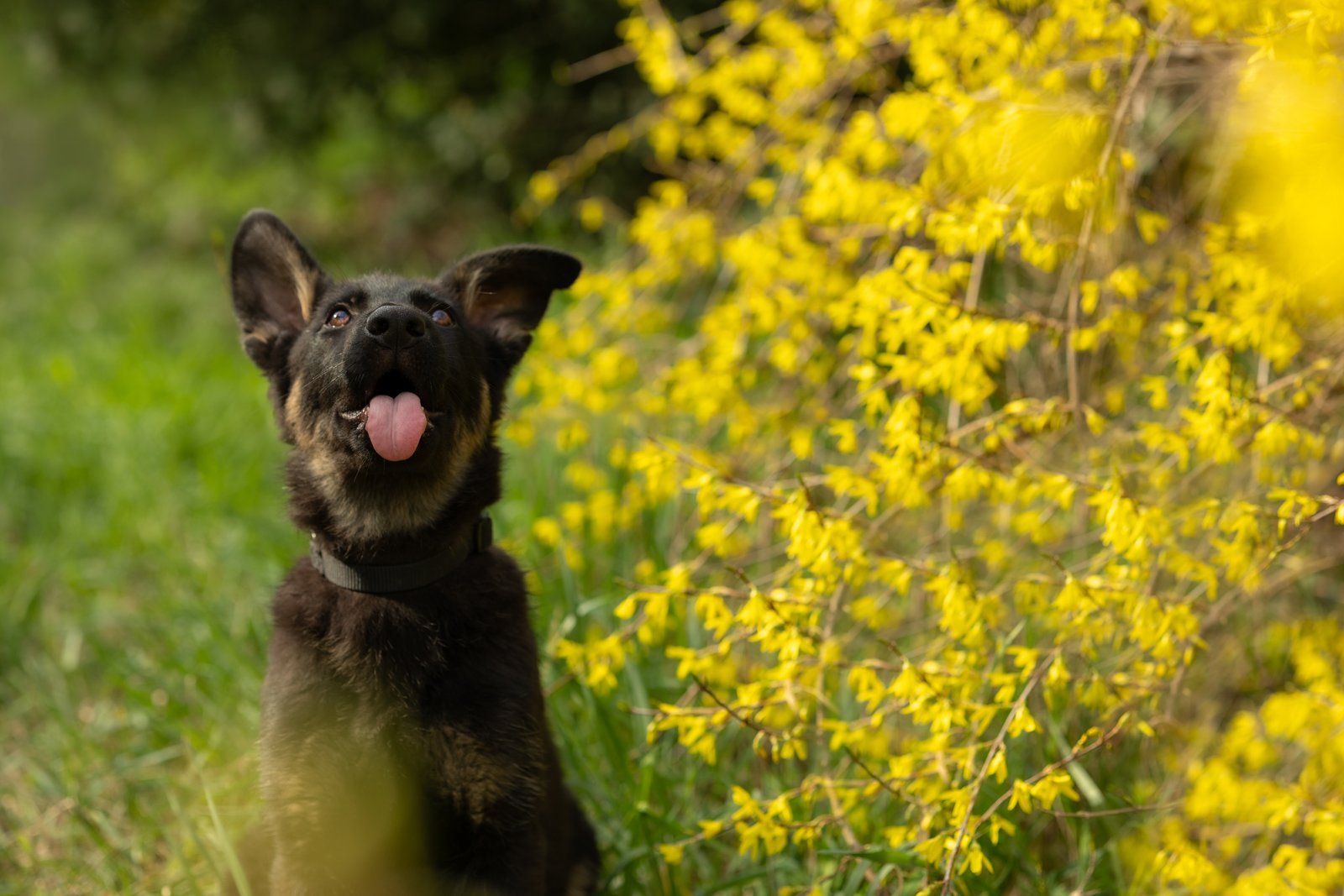 Szőke Nikolett portfolio